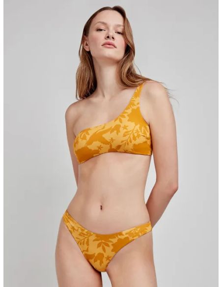 Braguita bikini brasileña