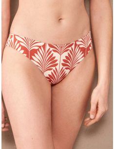 Braga bikini clásica Amber estampado palmera