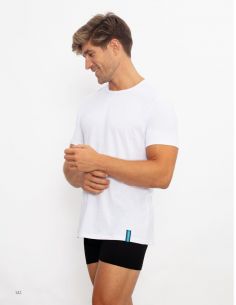 Pack 3 Camisetas Surtidas colores Don algodon manga corta