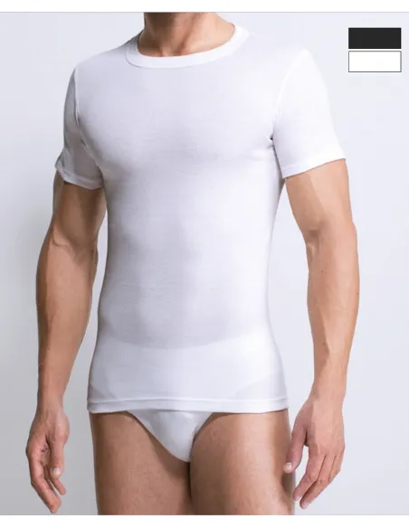 Pack 3 Camisetas punto 100% algodon manga corta cuello Redondo